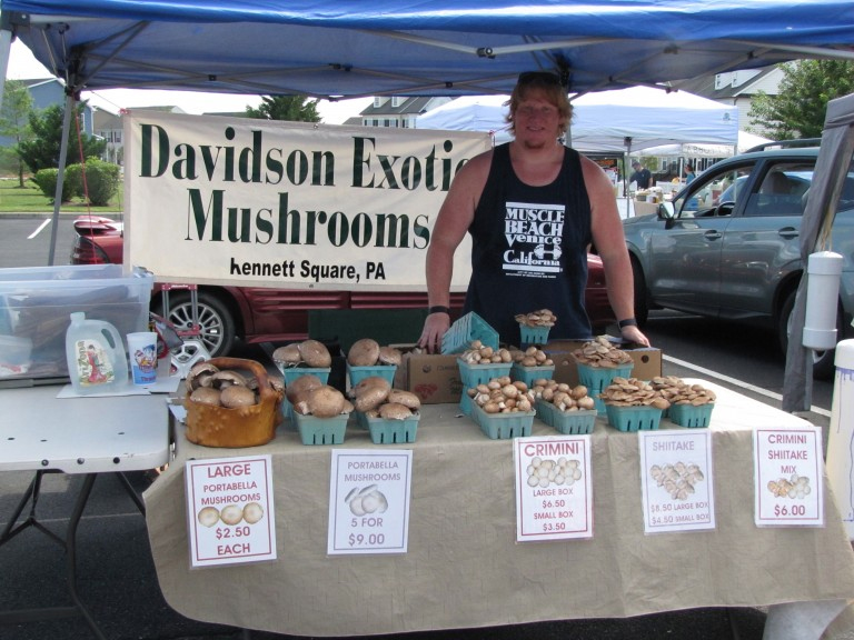 Mushrooms and beer to be featured at Milton Farmers Market Sept. 23